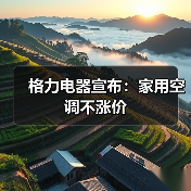 格力电器宣布：家用空调不涨价
