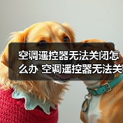 空调遥控器无法关闭怎么办 空调遥控器无法关闭解决方法【详解】(图1) 空调遥控器无法关闭怎么办 空调遥控器无法关闭解决方法【详解】(图1)