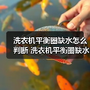 洗衣机平衡圈缺水怎么判断 洗衣机平衡圈缺水判断方法【详解】(图3) 洗衣机平衡圈缺水怎么判断 洗衣机平衡圈缺水判断方法【详解】(图3)