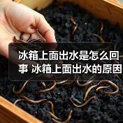 冰箱上面出水是怎么回事 冰箱上面出水的原因及解决方法【详解】（图3）