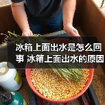 冰箱上面出水是怎么回事 冰箱上面出水的原因及解决方法【详解】（图4）