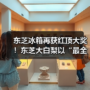 东芝冰箱再获红顶大奖！东芝大白梨以“最全能”实力重塑高端冰箱价值标杆（图2）