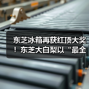 东芝冰箱再获红顶大奖！东芝大白梨以“最全能”实力重塑高端冰箱价值标杆