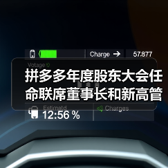 拼多多年度股东大会任命联席董事长和新高管(图4) 拼多多年度股东大会任命联席董事长和新高管(图4)