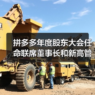 拼多多年度股东大会任命联席董事长和新高管