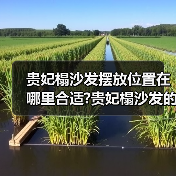 贵妃榻沙发摆放位置在哪里合适?贵妃榻沙发的优点是什么（图4）