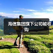 海信集团旗下公司被收购(图4) 海信集团旗下公司被收购(图4)