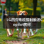 LG回应电视强制推送Copilot图标（图2）