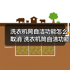 洗衣机筒自洁功能怎么取消 洗衣机筒自洁功能取消方法【详解】（图4）