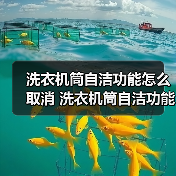 洗衣机筒自洁功能怎么取消 洗衣机筒自洁功能取消方法【详解】（图1）