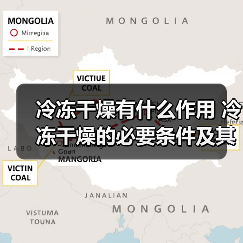 冷冻干燥原理及必要条件详解：高效脱水技术应用