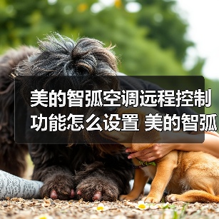 美的智弧空调远程控制功能怎么设置 美的智弧空调远程控制功能设置方法【详解】(图1) 美的智弧空调远程控制功能怎么设置 美的智弧空调远程控制功能设置方法【详解】(图1)