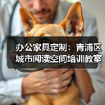办公家具定制：青浦区城市阅读空间培训教室拼接桌（图2）