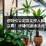 倍轻松公司及实控人被立案!涉嫌信披违法违规(图4) 倍轻松公司及实控人被立案!涉嫌信披违法违规(图4)