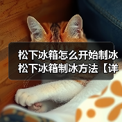 松下冰箱怎么开始制冰 松下冰箱制冰方法【详解】（图3）