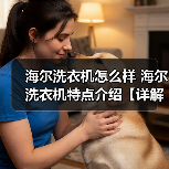 海尔洗衣机怎么样 海尔洗衣机特点介绍【详解】（图1）