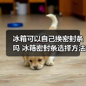 冰箱可以自己换密封条吗 冰箱密封条选择方法【详解】(图4) 冰箱可以自己换密封条吗 冰箱密封条选择方法【详解】(图4)