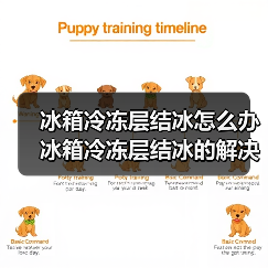 冰箱冷冻层结冰怎么办 冰箱冷冻层结冰的解决方法【详解】(图2) 冰箱冷冻层结冰怎么办 冰箱冷冻层结冰的解决方法【详解】(图2)