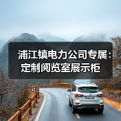 浦江镇电力公司专属：定制阅览室展示柜（图1）