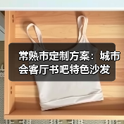 常熟市定制方案：城市会客厅书吧特色沙发（图2）