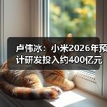 卢伟冰：小米2026年预计研发投入约400亿元（图4）