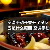 空调手动开关开了没反应是什么原因 空调手动开关开了没反应原因分析【详解】（图3）