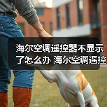 海尔空调遥控器不显示了怎么办 海尔空调遥控器不显示了解决方法【详解】(图2) 海尔空调遥控器不显示了怎么办 海尔空调遥控器不显示了解决方法【详解】(图2)
