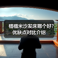 榻榻米沙发床哪个好？优缺点对比介绍（图2）
