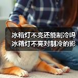 冰箱灯不亮还能制冷吗 冰箱灯不亮对制冷的影响【详解】(图3) 冰箱灯不亮还能制冷吗 冰箱灯不亮对制冷的影响【详解】(图3)