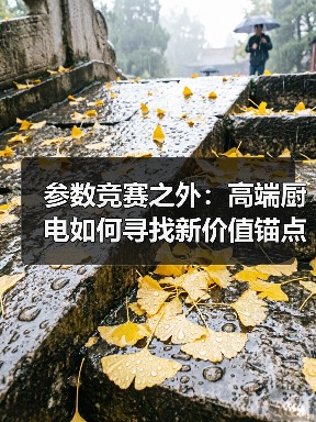 参数竞赛之外：高端厨电如何寻找新价值锚点（图3）