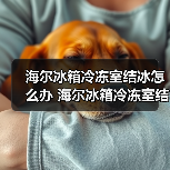 海尔冰箱冷冻室结冰怎么办 海尔冰箱冷冻室结冰的原因及其解决方法【详解】(图4) 海尔冰箱冷冻室结冰怎么办 海尔冰箱冷冻室结冰的原因及其解决方法【详解】(图4)