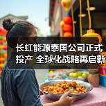 长虹能源泰国公司正式投产 全球化战略再启新篇（图3）