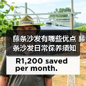 藤条沙发有哪些优点 藤条沙发日常保养须知（图2）
