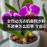 全自动洗衣机单脱水转不起来怎么回事 全自动洗衣机单脱水转不起来的原因【详解】（图4）
