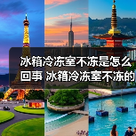 冰箱冷冻室不冻是怎么回事 冰箱冷冻室不冻的原因及解决方法【详解】(图4) 冰箱冷冻室不冻是怎么回事 冰箱冷冻室不冻的原因及解决方法【详解】(图4)