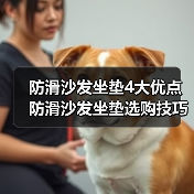 防滑沙发坐垫4大优点 防滑沙发坐垫选购技巧