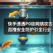 快手遭遇P0级网络攻击 直播安全防护引全行业警惕（图3）