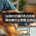 台风吹空调外机内机有异响是什么原因 台风吹空调外机内机有异响解决办法【详解】(图2) 台风吹空调外机内机有异响是什么原因 台风吹空调外机内机有异响解决办法【详解】(图2)