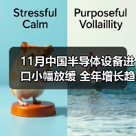 中国半导体设备进口短期放缓 国产替代加速