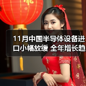 11月中国半导体设备进口小幅放缓 全年增长趋势未改（图2）