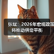 张斌：2026年宏观政策将推动供需平衡（图3）