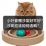 小叶紫檀沙发好不好？沙发应该如何选购？（图3）