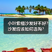 小叶紫檀沙发好不好？沙发应该如何选购？（图2）