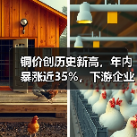 铜价创历史新高，年内暴涨近35%，下游企业承压调价（图2）