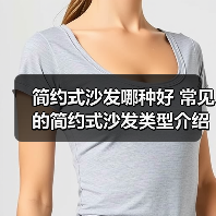 简约式沙发哪种好 常见的简约式沙发类型介绍（图3）