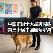 中国家具十大品牌闪耀第三十届中国国际家具展览会