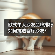 欧式单人沙发品牌排行 如何挑选客厅沙发？（图3）