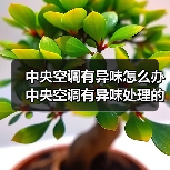 中央空调有异味怎么办 中央空调有异味处理的方法【详解】（图3）
