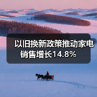 以旧换新政策推动家电销售增长14.8%（图4）