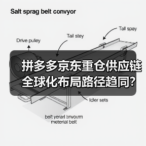 拼多多京东重仓供应链 全球化布局路径趋同？（图4）